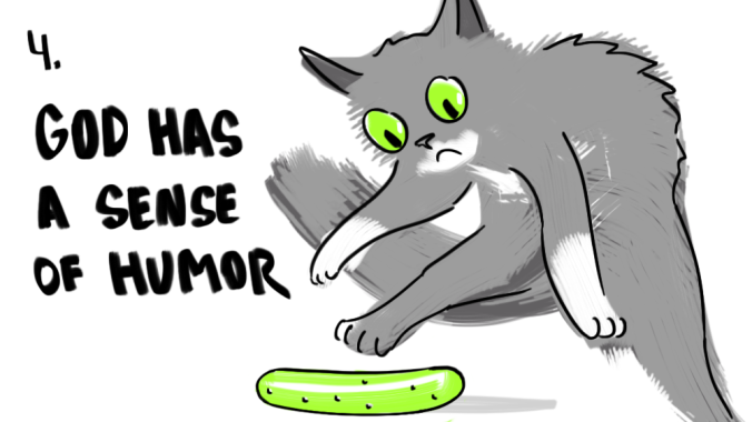 5-things-cat-god-sense-of-humor